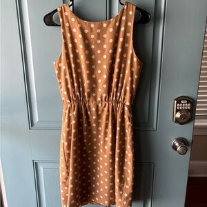 Gorgeous JCrew Polka Dot Dress Size 2
